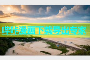 哔咔漫画下载导出专家