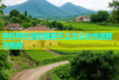 哔咔哔咔漫画登录不上怎么办快速解决指南