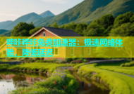哔咔哔咔免费加速器：极速网络体验，降低延迟