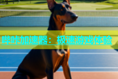 哔咔加速器：极速游戏体验