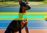 哔咔加速器：极速游戏体验