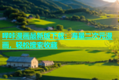 哔咔漫画最新版下载：海量二次元漫画，轻松搜索收藏