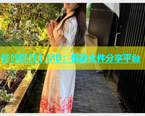 哔咔哔咔1 MB：极简文件分享平台  第1张